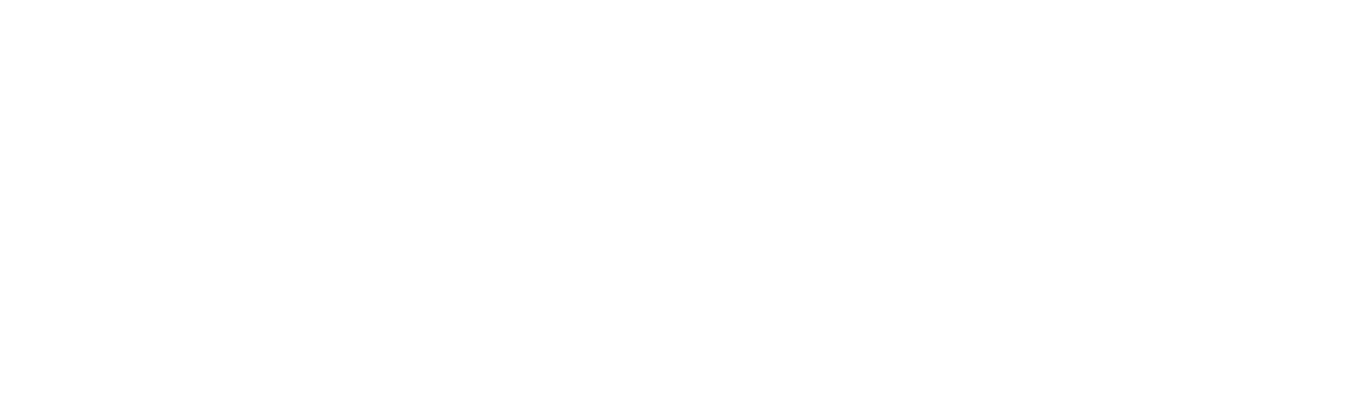 Ruu Kapital